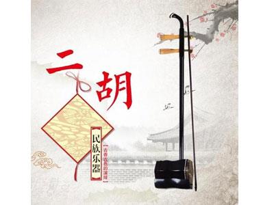 招聘蚌埠二胡家教老师